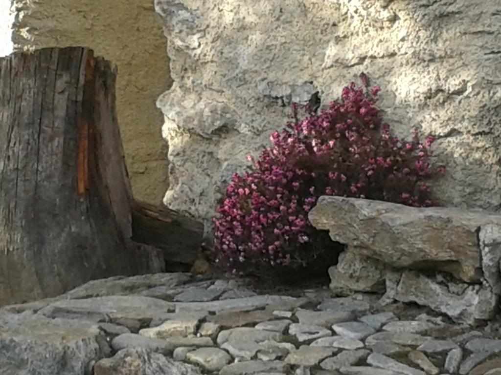 Casa Vacanze Roncaiola Tirano Exterior photo
